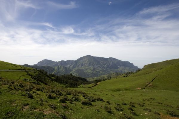 Imagem 13